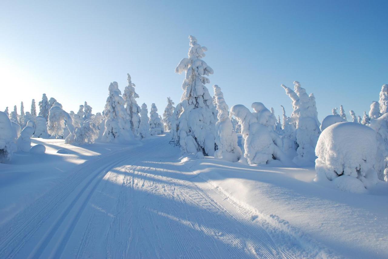 Nuoriso- Ja Luontomatkailukeskus Oivanki Exterior foto